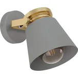 Eglo 43835 - Nástěnné bodové svítidlo TWICKEN 1xE27/28W/230V