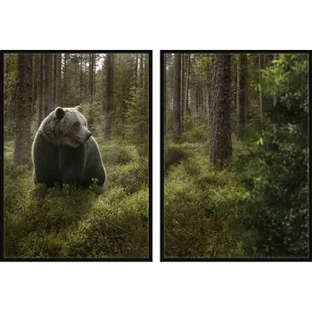 Obraz OBRAZ PLAKÁTY V RÁMU 53x73cm Dyptych Sada 2 obrazů Medvěd Les P753