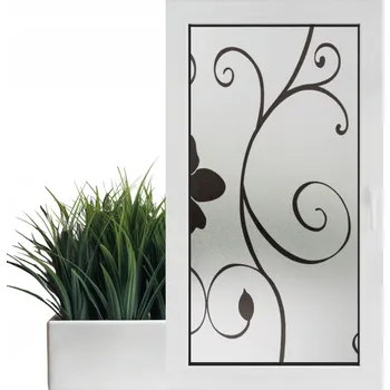 Obraz Fólie na okno 90x100 cm Černá Flores