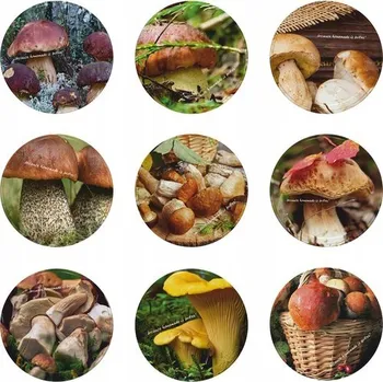 Víčko na zavařovací sklenici Šroubovací Víčko na houby fi 66, 4-závitové, 10 kusů Biowin