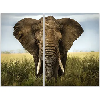 Kuchyňské prkénko Skleněná Ochranná Deska a Krájecí Prkénko | Indukce, Sporák ds-0363