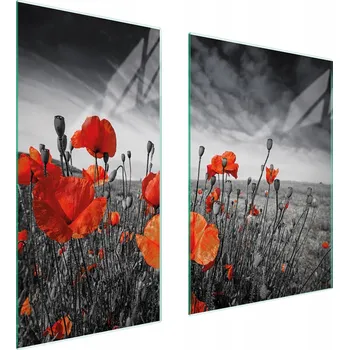 Kuchyňské prkénko Krájecí deska TMK ArtDeko sklo 2 ks