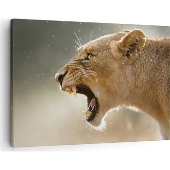 Obraz Obraz na plátně do obýváku, ložnice 70x50 zvířata foto obrazy na zeď