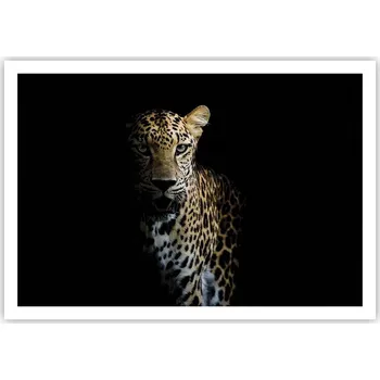 Obraz Plakát na zeď bez rámu 100x70 zvířata obraz plakáty do obývacího pokoje ložnice