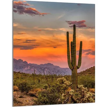 Kuchyňské prkénko Krájecí deska TMK ArtDeko sklo 1 ks