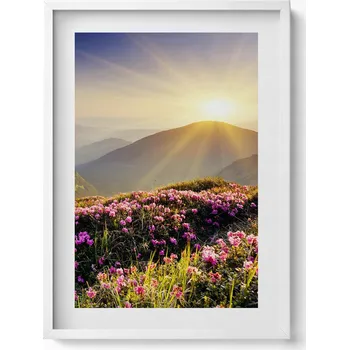 Obraz Dekorativní nástěnný obraz s grafikou v bílém rámu Hory a louka květin 50x70 cm