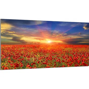 Obraz Krájecí deska TMK ArtDeko sklo 1 ks