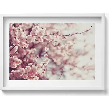 Obraz Závěsný obraz rámeček v bílé barvě Kvetoucí jarní květiny 70x50 cm