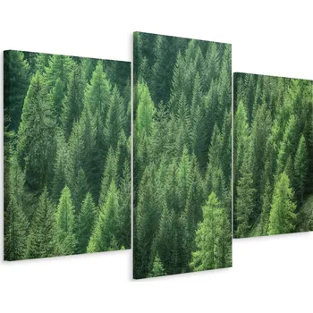 Obraz Obraz Triptych Zelený LES Stromy Krajina 3D 90x60