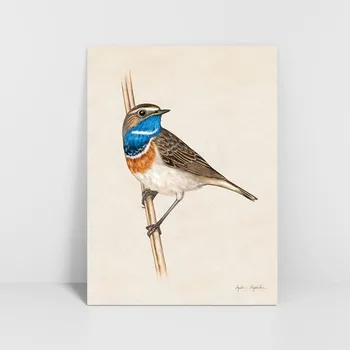 Obraz Plakát Cestovatelská zvířátka bez rámu 30 x 40 cm