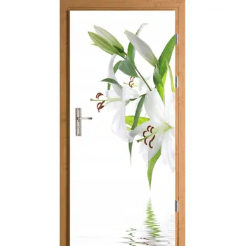 Fototapeta Samolepka na dveře samolepicí Vanilka, bílé pozadí