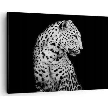 Obraz Obraz na plátně do obýváku, ložnice 70x50 zvířata foto obrazy na zeď