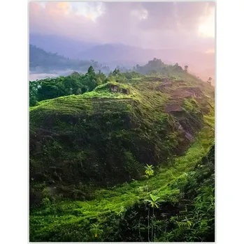 Kuchyňské prkénko Skleněná Ochranná Deska a Krájecí Prkénko | Indukce, Sporák ds-0441