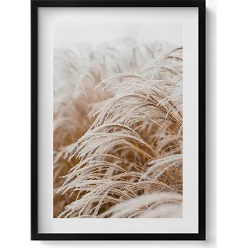 Obraz Dekorativní nástěnný obraz v černém rámu - Jemné trávy v boho stylu 50x70 cm