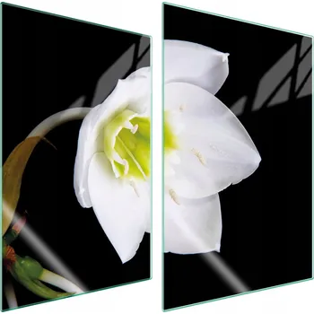 Obraz Krájecí deska TMK ArtDeko sklo 2 ks