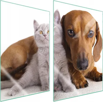 Obraz Krájecí deska TMK ArtDeko sklo 2 ks