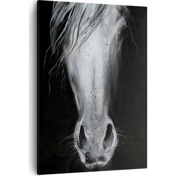 Obraz Obraz na plátně do obýváku, ložnice 50x70 kůň foto obrazy na zeď canvas