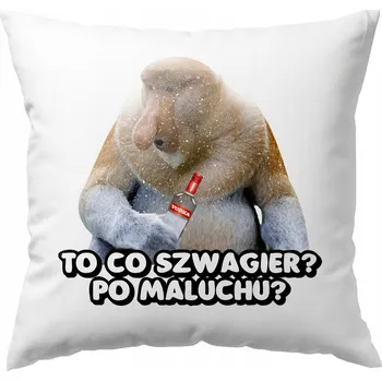 Polštář POLŠTÁŘ VTIPNÝ POLŠTÁŘ PRO OBLÍBENÉHO ŠVAGRA JANUSZE NOSÁČE DÁREK