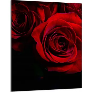 Obraz Krájecí deska TMK ArtDeko sklo 1 ks