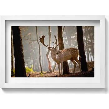 Obraz Nástěnný obraz dekorace interiéru Jelen v záři vycházejícího slunce 30x20 cm