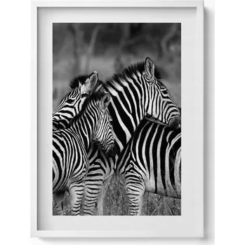 Obraz Dekorativní nástěnný obraz s rámem a grafikou loftu Objímající se zebry 50x70 cm