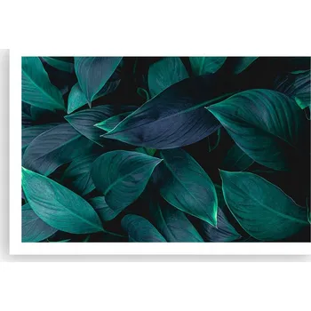 Obraz Obraz plakát do obýváku ložnice 91x61 listy foto na zeď bez rámu