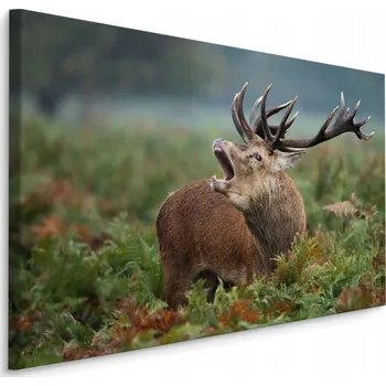 Obraz Obraz do Obývacího Pokoje JELEN v Říji Příroda 70x50