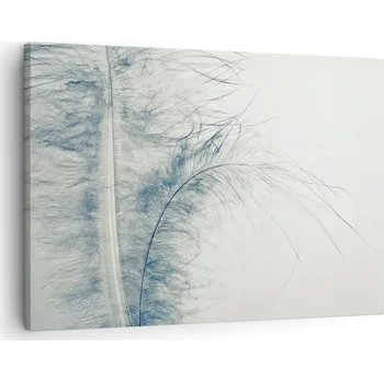 Obraz Obraz na plátně do obýváku, ložnice 70x50 cm - foto obrazy s motivem peří na zeď