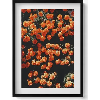 Obraz Nástěnný dekorativní foto obraz v černém rámu Oranžové květy 50x70 cm