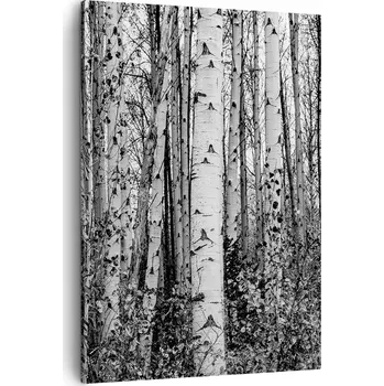 Obraz Obraz na plátně do obýváku ložnice 50x70 les foto obrazy na zeď canvas