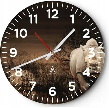 Hodiny Nástěnné hodiny do obýváku 40x40 Nosorožec Kulatý Skleněné hodiny Loft Tiché