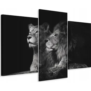Obraz Obraz Triptych Lvice LEV Dekor Zvířata 3D 90x60