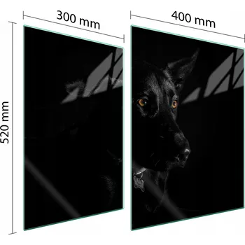 Kuchyňské prkénko Krájecí deska TMK ArtDeko sklo 2 ks