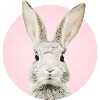 Samolepící dekorace Samolepka na stěnu Yokodesign Králík Stefan růžová DK226 - XL 103x96cm