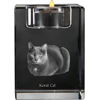 Svícen Korat - svícen s fotografií koně, křišťálový podstavec na čajovou svíčku, per