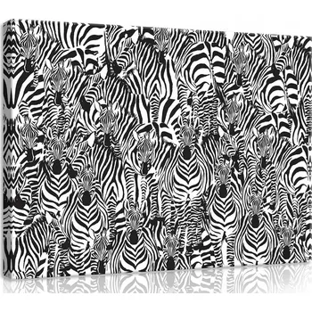 Obraz OBRAZ NA PLÁTNĚ CANVAS 100x75 ZEBRA ZEBRA GRAFIKA
