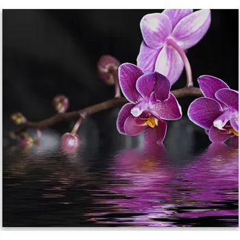 Kuchyňské prkénko Skleněná Ochranná Deska a Krájecí Prkénko | Indukce, Sporák ds-0032