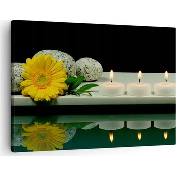 Obraz Obraz na plátně do obývacího pokoje ložnice 70x50 květiny foto obrazy na zeď