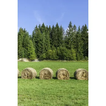 Obraz Plakát Stohy sena na travnatém poli bez rámu 20 x 30 cm