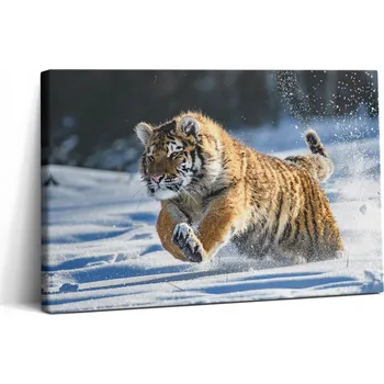 Obraz Fotoobraz na plátně do kuchyně Krásný huňatý tygr ve sněhu 30x20 cm