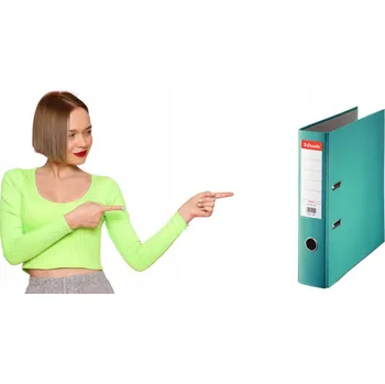 Šanon na dokumenty A4, 75 mm, až 500 listů ESSELTE