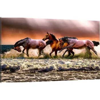 Obraz OBRAZ NA PLÁTNĚ do ložnice koně v moři 120x80