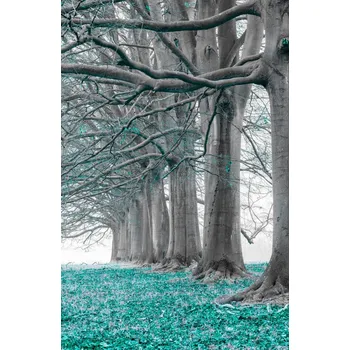 Obraz Plakát Stromy v řadě - tyrkysové listy bez rámu 53 x 81 cm