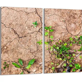 Obraz Krájecí deska TMK ArtDeko sklo 2 ks