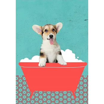 Obraz PLAKÁT BEZ RÁMU do Koupelny WC Toalety PES pejsek VE VANĚ P2573_30x40