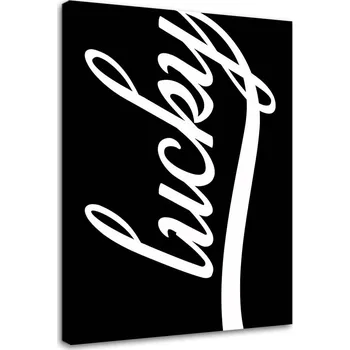 Obraz Obraz Černé štěstí 60x90