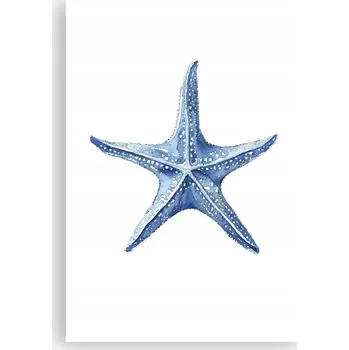 Obraz Plakát na zeď bez rámu 70x100 Hvězdice obraz plakáty do obýváku