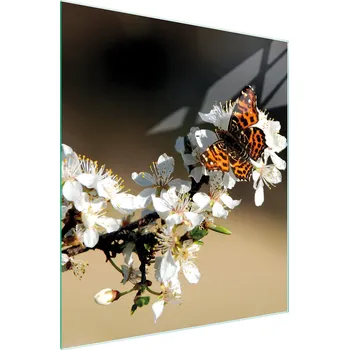 Kuchyňské prkénko Krájecí deska TMK ArtDeko sklo 1 ks