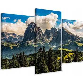 Obraz Obraz TRYPTYCH Hory Les Nebe Krajina 3D 90x60