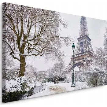 Obraz Obraz do Obývacího Pokoje Eiffelova Věž ZIMA Stromy 3D 90x60
